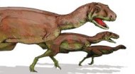 Arcusaurus Dinosaur
