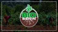 Volunteer Work Benin: Bio-Benin
