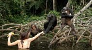 Volunteer Work Congo: Help Primates