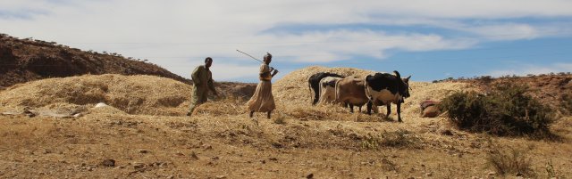 Life in Eritrea