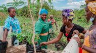 Volunteer Work Gabon: The Leaf Charity