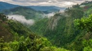 Congo Rainforest: Democratic Republic of Congo