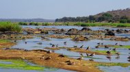 Mozambique River Webcam