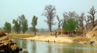 African Lakes and Rivers: The Niger River