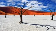 African Country Profiles: Namibia