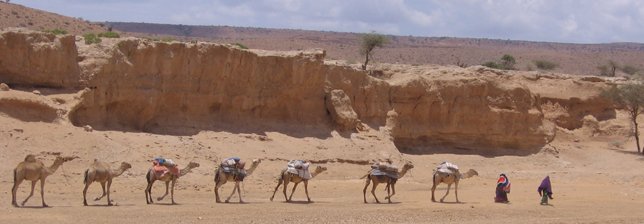 Volunteer Work Somalia