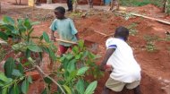 Volunteering Projects in Uganda: Habitat