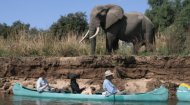 Volunteer Work Zimbabwe: Conservation Travel Africa