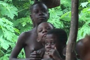 Pygmy Children In Congo
